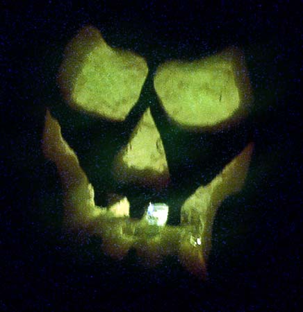 Pumpkin gallery - 21